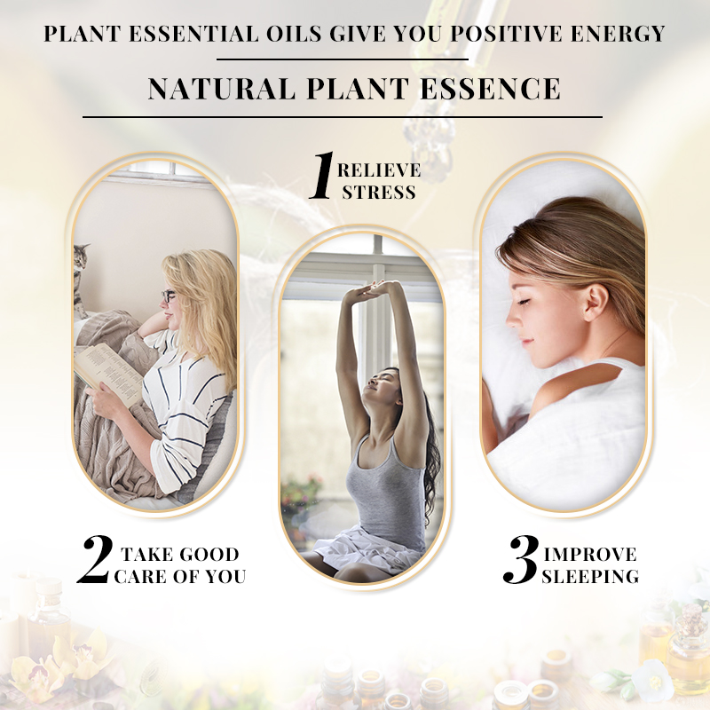 น้ำมันหอมระเหยกลิ่นมะลิ EVOKE  - Perfume Fragrance Enhancer บทวิจารณ์และราคา