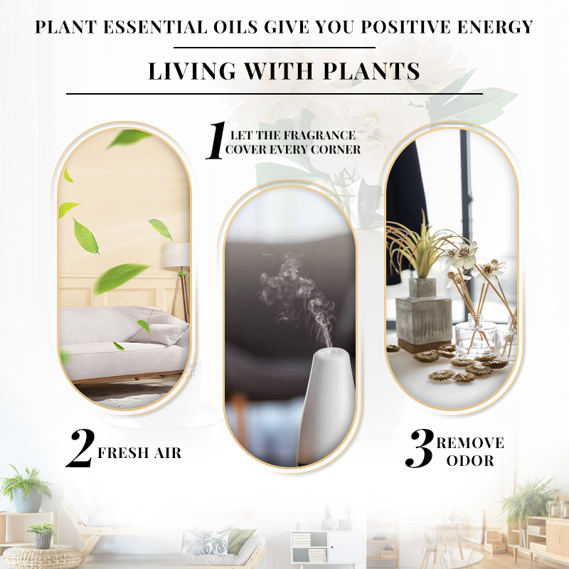 น้ำมันหอมระเหยกลิ่นมะลิ EVOKE  - Perfume Fragrance Enhancer บทวิจารณ์และราคา